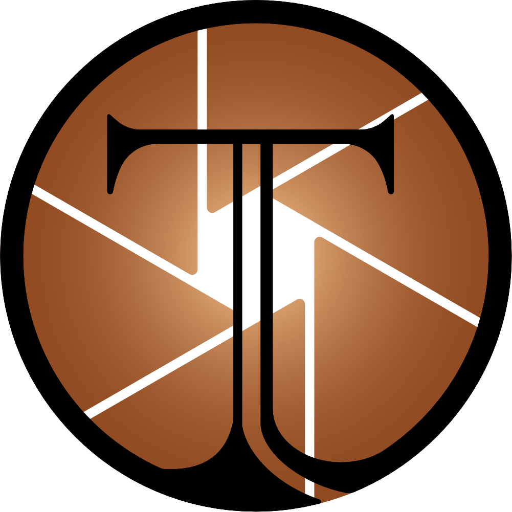 Taddei Productions logo